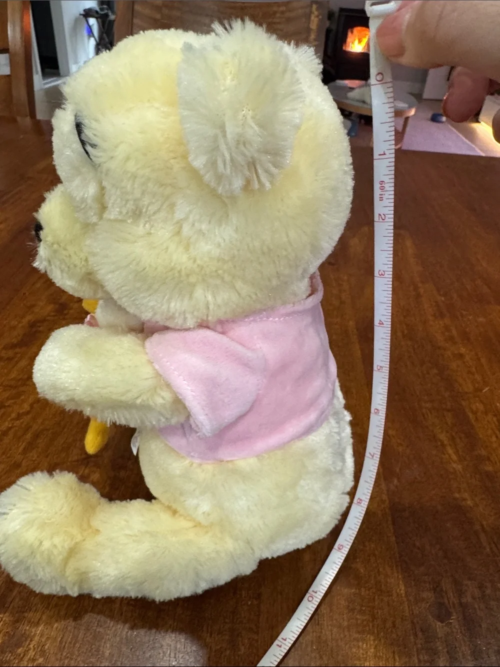 Y2K Disney Plush Winnie the Pooh with Chick Plush